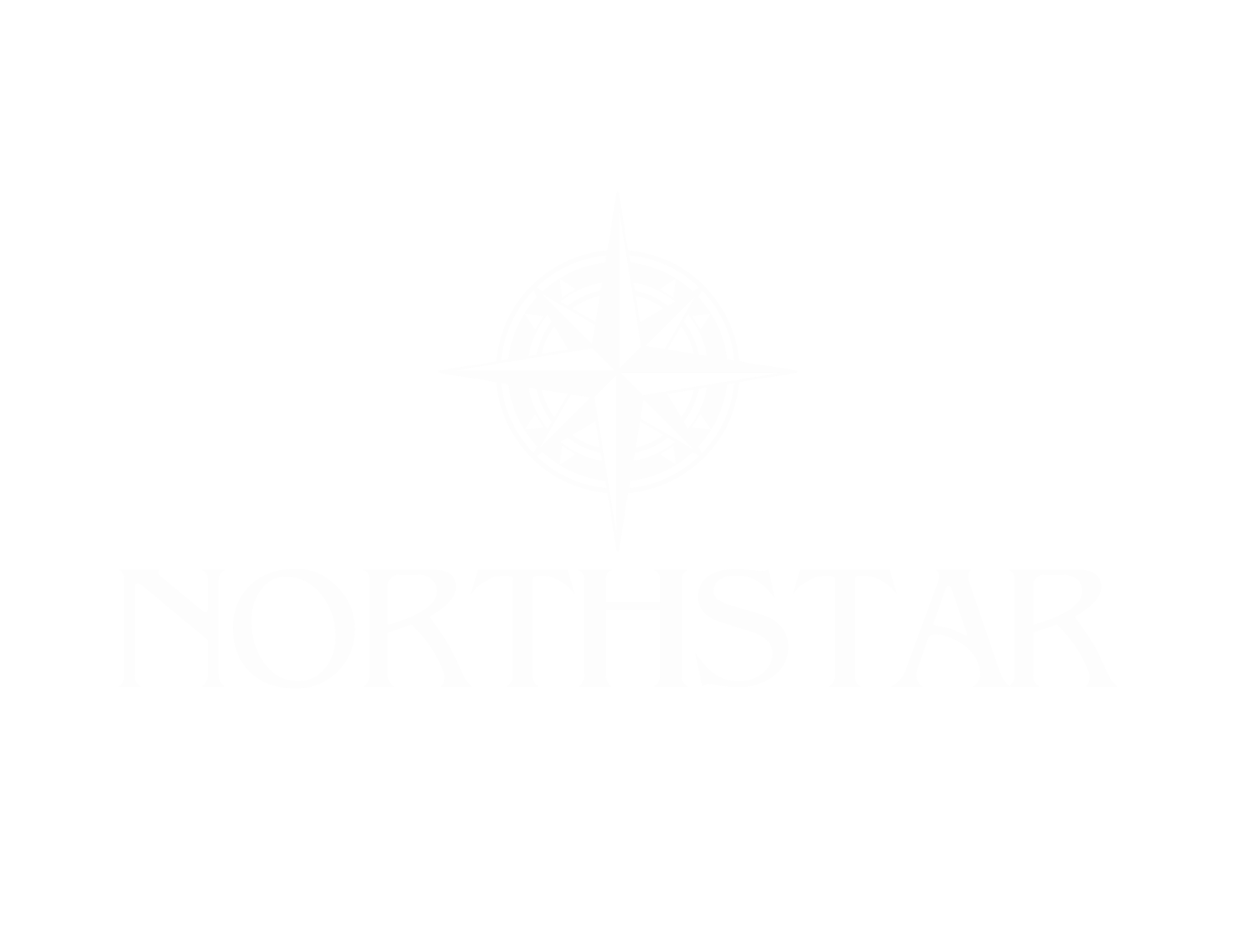 NorthStar Systems Logo